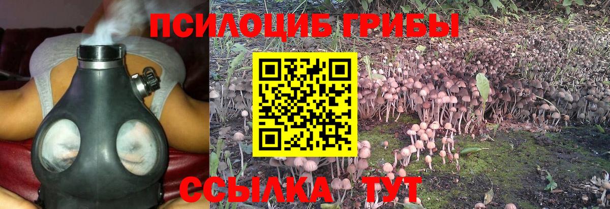 Галлюциногенные грибы Psilocybe Татарск